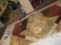 Thumbnail for version as of 23:17, 14 November 2006