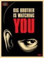 Bigbrotheriswatchingyou.gif