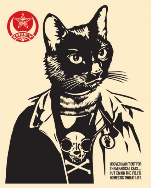 File:Radical Cat.jpg