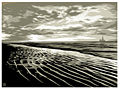 Thumbnail for version as of 15:57, 30 July 2010